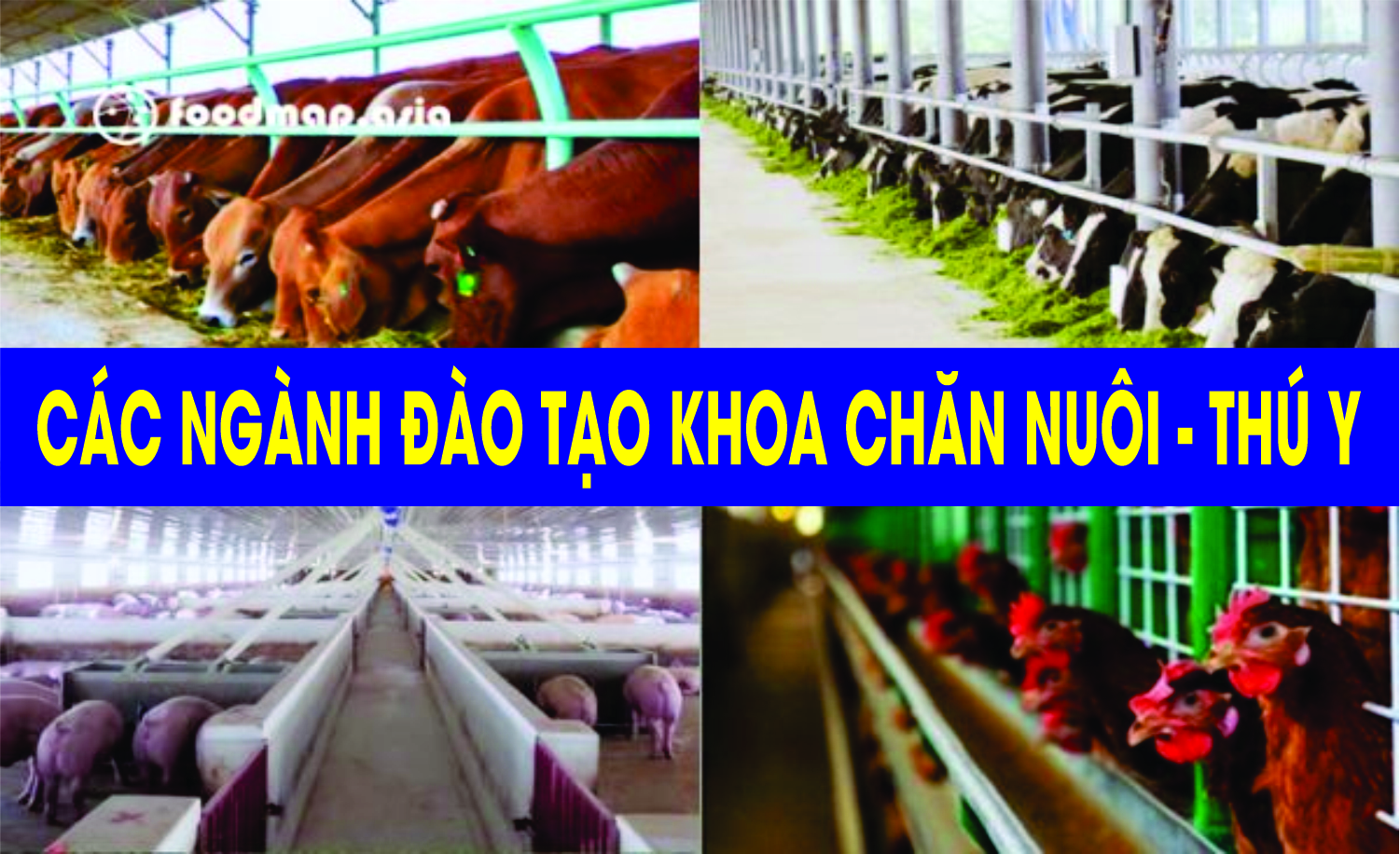 Khoa Chăn Nuôi
